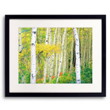 Autumn Aspen Grove Print by Bruce Heinemann
