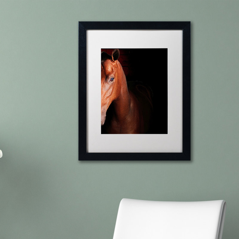 « kentucky cheval intense », reproduction de photo sur toile encadrée, H 20 po x l 16 po x P 0,5 po