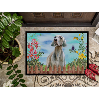 Non-Slip Outdoor Doormat