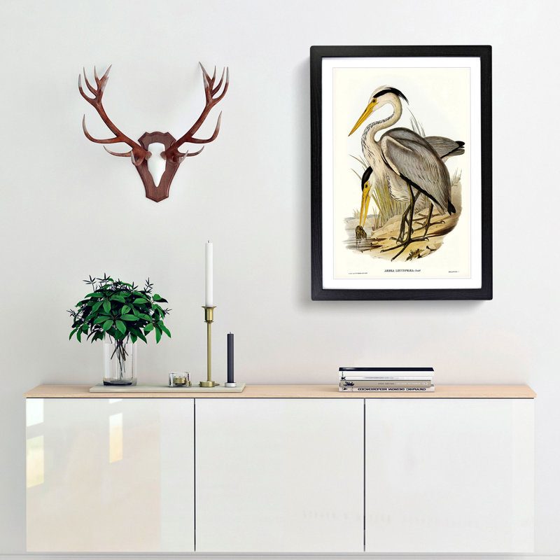 Great Grey Herons by Elizabeth Gould - Framed Print, 65cm H x 48cm W x 2cm D, Black Framed