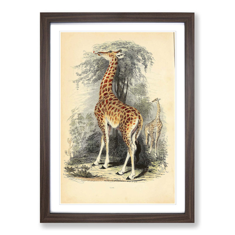 Single Picture Frame Painting, Walnut