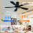 60-Inch Ceiling Fan Without Light