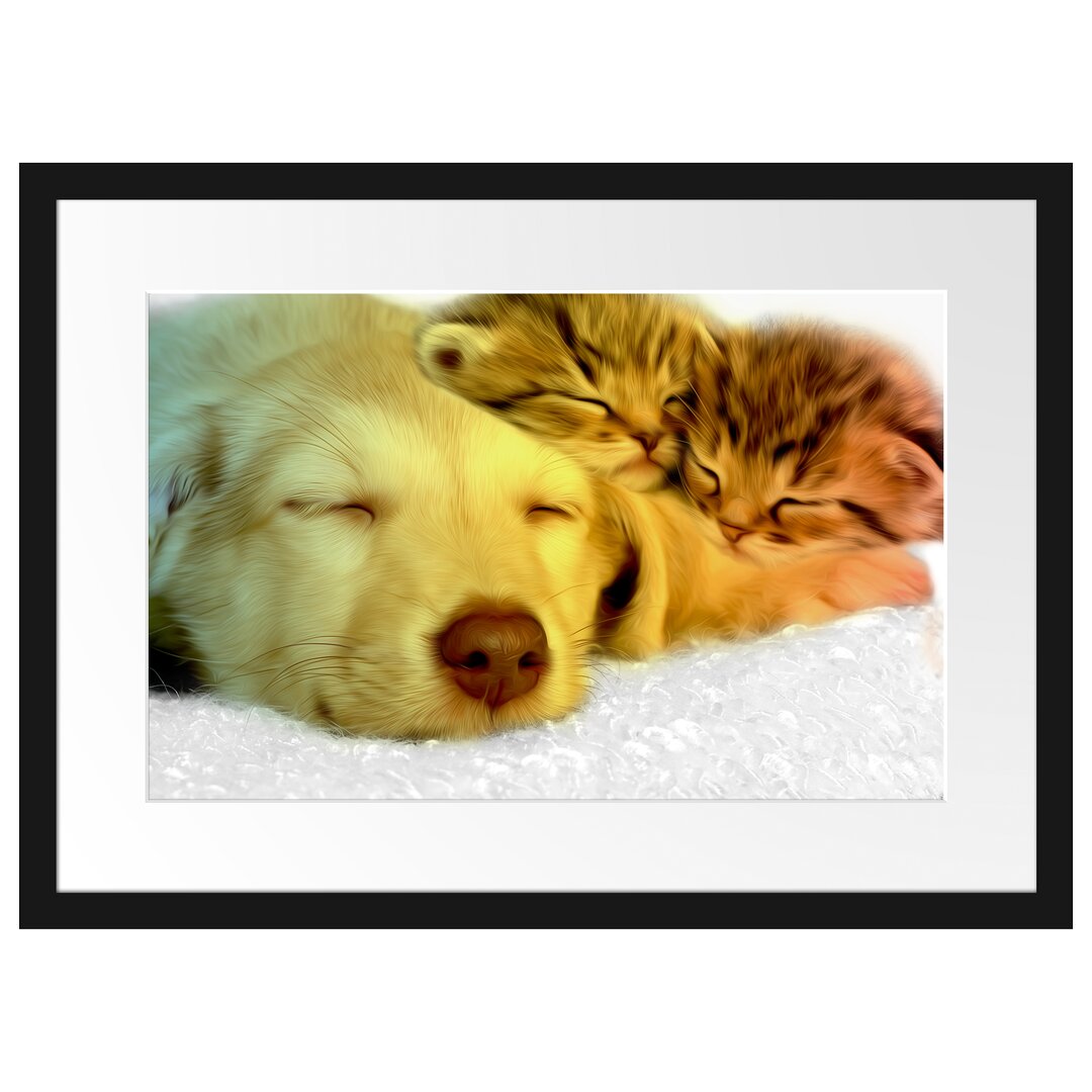 Gerahmtes Poster Welpe und Katze