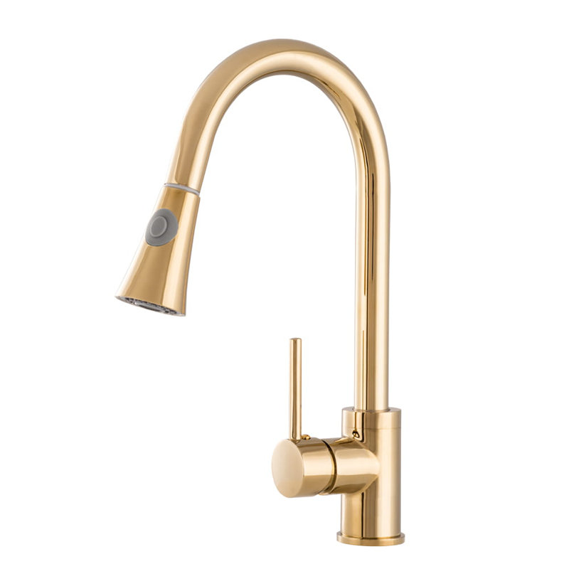 Belfry Kitchen Tabyana Kitchen Faucet, Gold