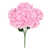 Rose est en rupture de stock