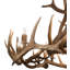 Rustic Lodge 12 - Light Chandelier
