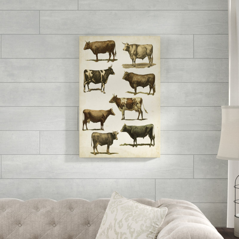 Antique Cow Chart - Painting on Canvas, 76cm H x 51cm W, Wrapped Canvas