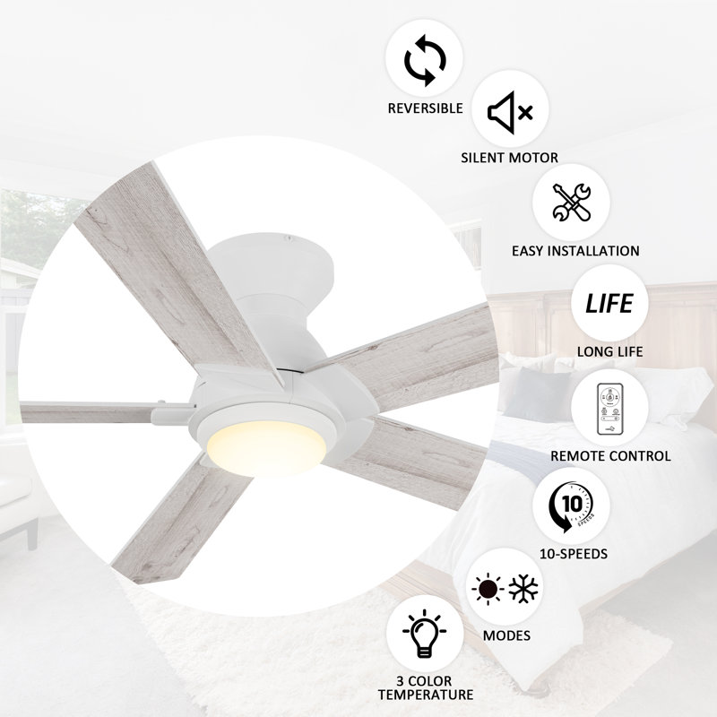 52'' Minir 5 - Blade Ceiling Fan with Light, White/Light Wooden