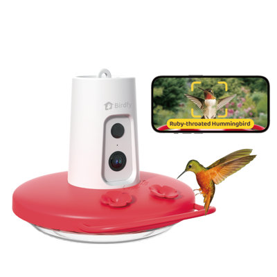 Birdfy Hummingbird Feeder Mini AI Smart Mini Feeder with 1080P Camera, 7-Day Free Trial, Ant Moat, Waterproof