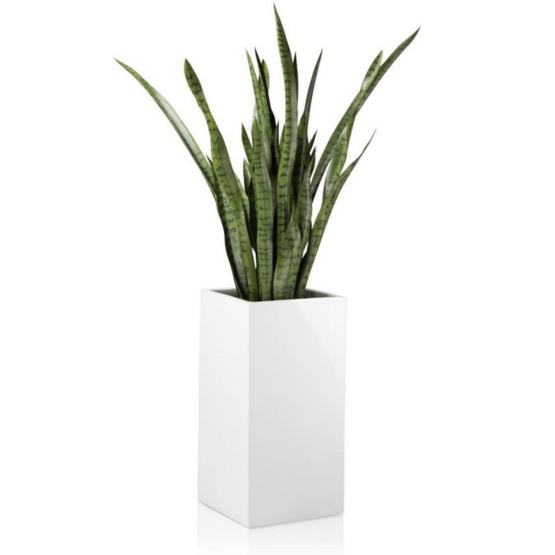 Wolfdale Pot Planter, White