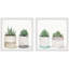 Fleshy Succulent Leaves by Marmont Hill - 2 Piece Single Picture Frame Painting Set-72544705