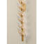 Ariadne 6" Piastre Glass Wall Sconce-2079298828-2079298829