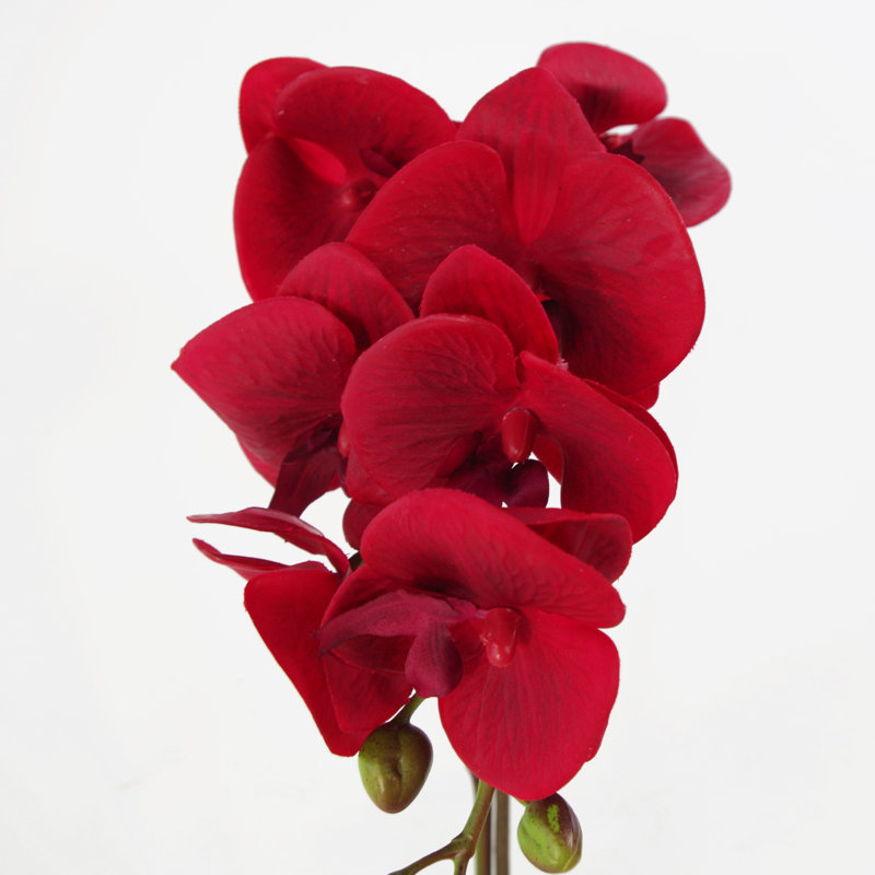 Anneus 46 cm H Faux Plant