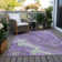 Machine Washable Indoor/Outdoor Cinead ACN1701 Purple Rug