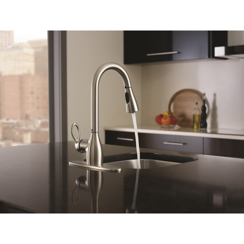 Kleo Single Handle Kitchen Faucet with Duralock and Reflex