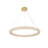 Brindalla Dimmable LED Round / Oval Chandelier-1132356656-1132356621