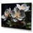 Toile tendue