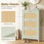 Shoe Storage Cabinet-1230823939