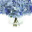 Jackang hortensias disposés dans un vase en verre