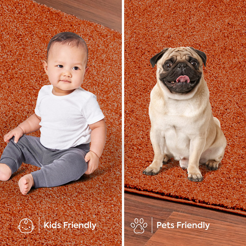 Modern Plush Pet and Kids Friendly Solid Color Orange Area Rugs, Stain & Fade Resistance, Perfect for Living Room, Dining Room, Bedroom, Playroom and Kidsroom, Event, Wedding, Amberlynn Rug