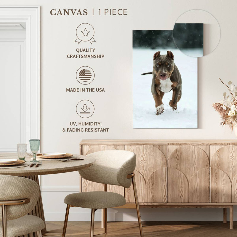 Brampt Pit Bull sur neige, H 39 po x l 26 po