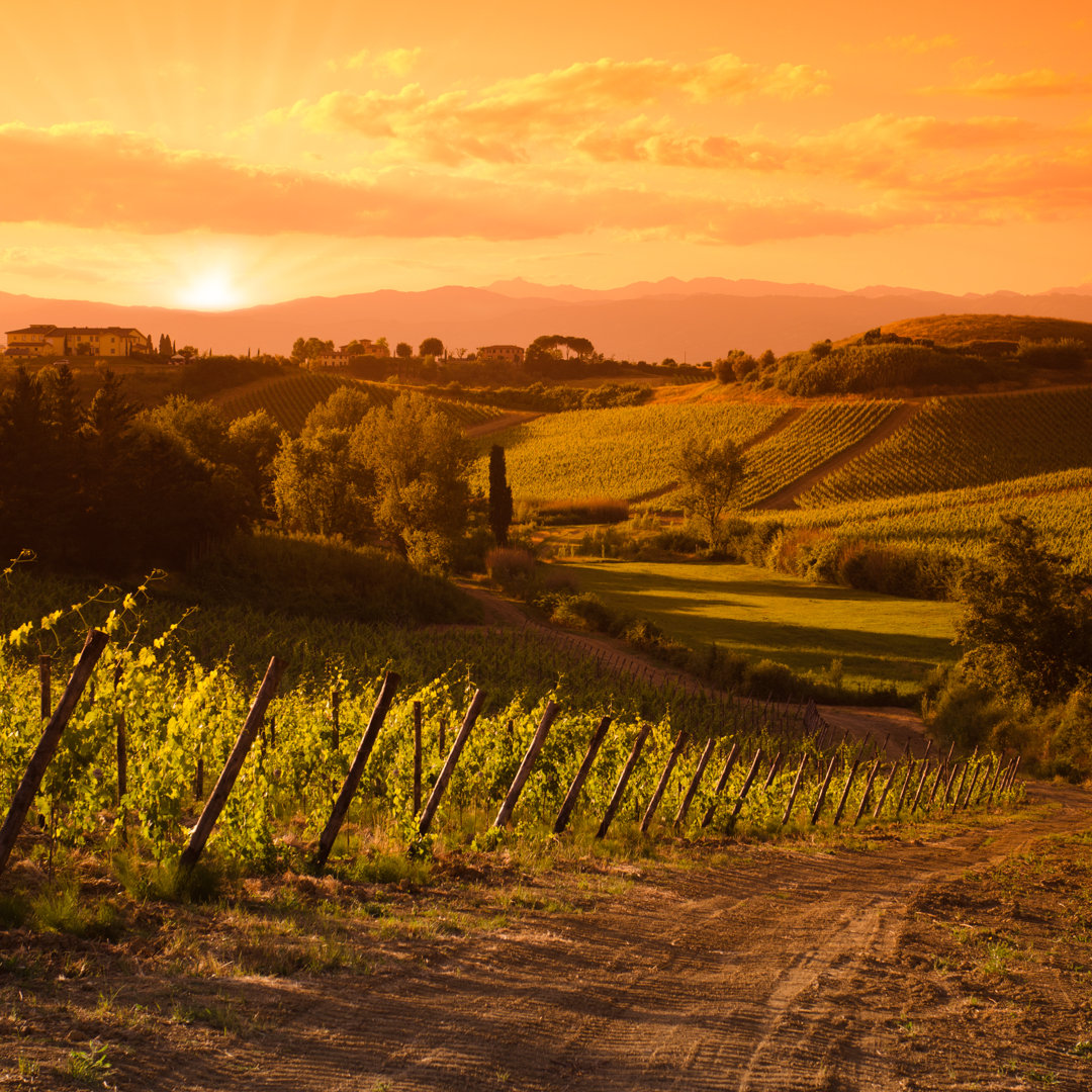 Chianti Region Hügel bei Sonnenuntergang - Druck