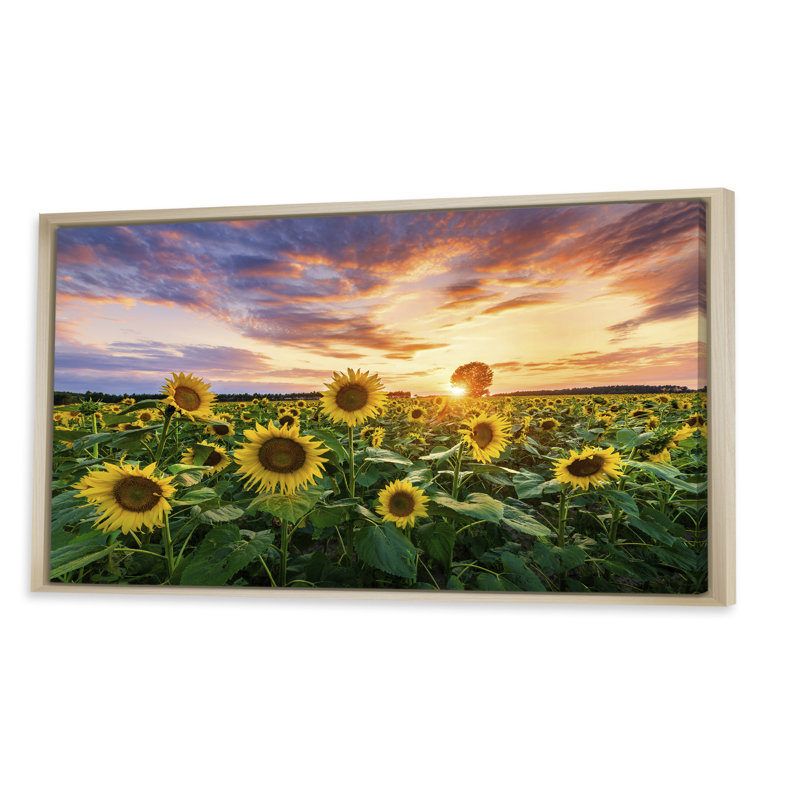 Champ de tournesols en fleurs - Photographie sur toile, Cadre brun, H 12 po x l 20 po x P 1 po