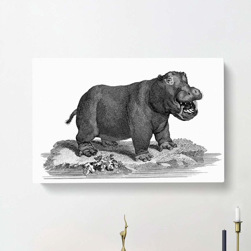 Hippopotamus In Black And White by George Shaw - Wrapped Canvas Print, 40cm H x 60cm W x 3cm D