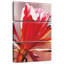 Harnek fleur rouge-108662762