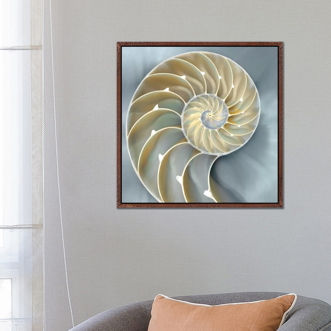 Nautilus in Blau I