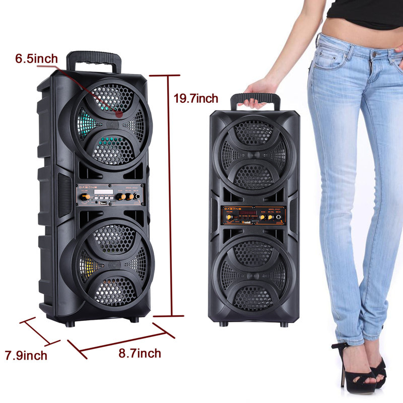 Haut-parleur portatif sans fil Bluetooth 3000W avec double haut-parleur de 6,5 pouces et microphone filaire