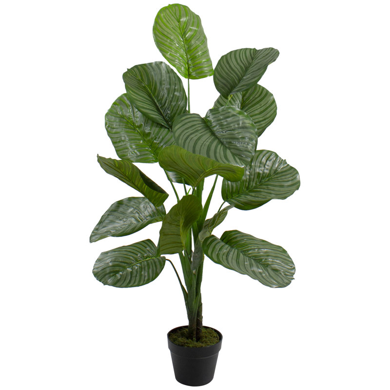 Plante de plancher artificielle 4 pi Calathea