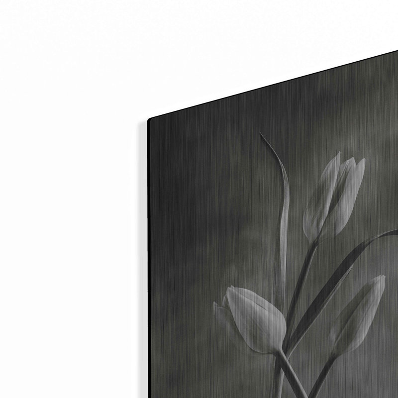 «Two Tone Tulips VII» par Debra Van Swearingen, H 24 po x l 16 po