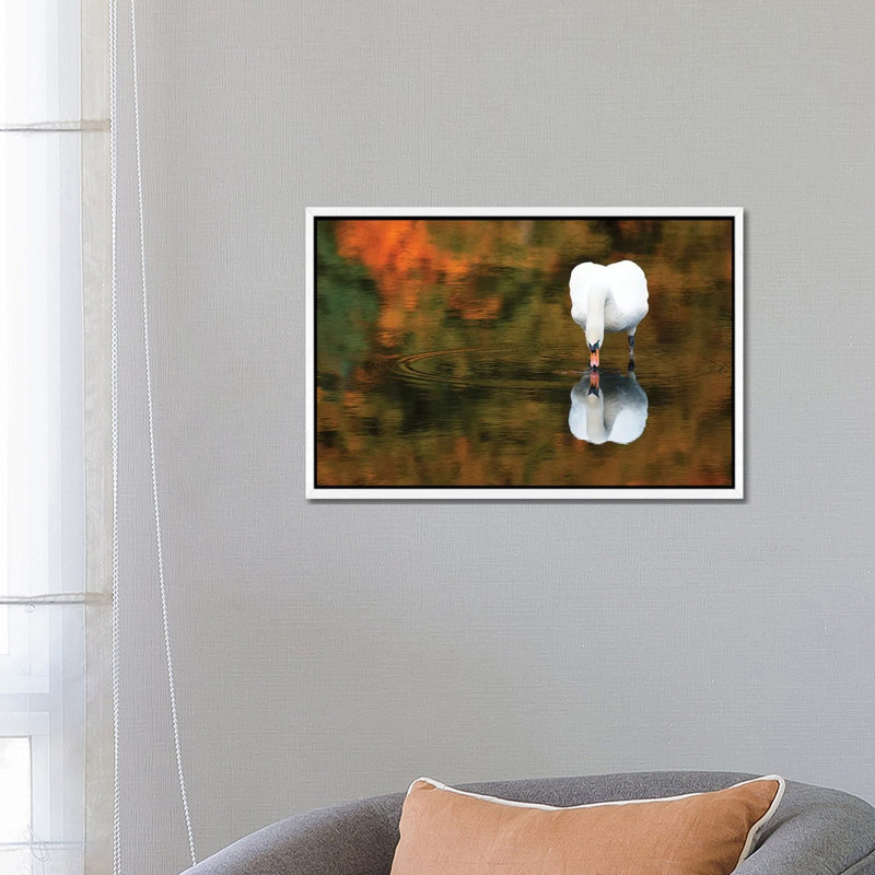 Reflected Swan II by David Gardiner - Print on Canvas, White Framed, 66.04 cm H x 45.72 cm W