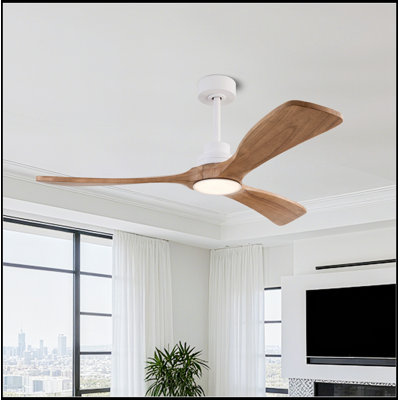 Conkle with Light,3 Wood Blade and Remote Control