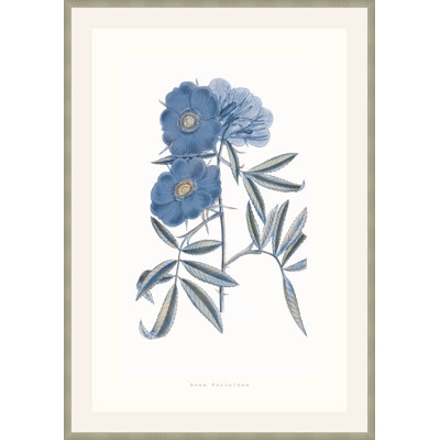 Bouquet Blue 2 Framed Print
