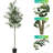 70.8'' Faux Fir Plant