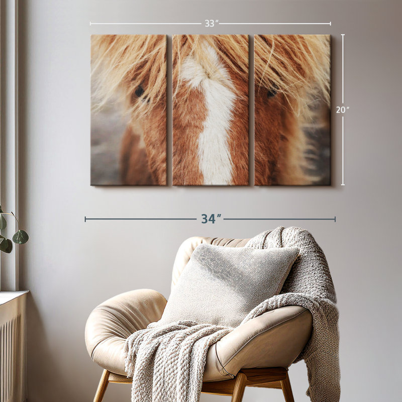 Animal, reproduction sur toile «Gros plan d'un cheval Islandais», H 20 po x l 33 po x P 1,25 po