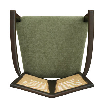 DINING CHAIR(Dark Brown+Green) Set Of 2