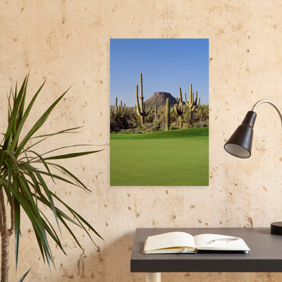 Cactus Saguaro dans un terrain de golf, club de golf de Troon North, Scottsdale, Maricopa County, Arizona, États-Unis, abstrait, cactus contemporain, paysage, art naturel