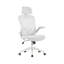 Aalaysia Mesh Office Chair with Headrest-363516336