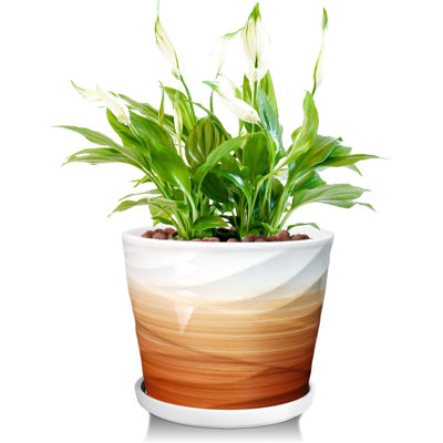 hanging light planter Dance of the Harvest Moon Planter  Vida + Luz
