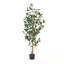 ARBRE DE LAURIER ARTIFIQUE 150CM 150CM