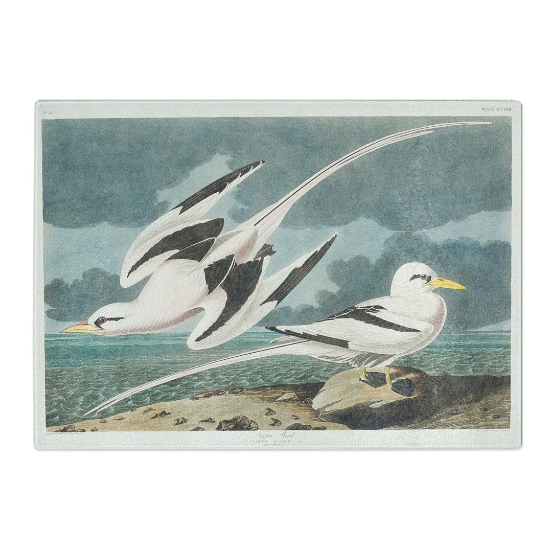 Tempered Glass Tropicbirds by John James Audubon Chopping Board