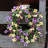 Faux Silk, Floral, Greenery, 24'' Wreath