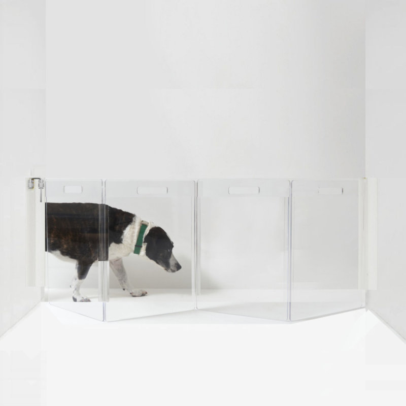 Clear Wall Mounted Low Zig Zag Pet Gate with Latch, Silver, 4 Panel