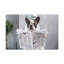 No Frame Print on Canvas-1239654884