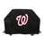 LMB Nationals de Washington