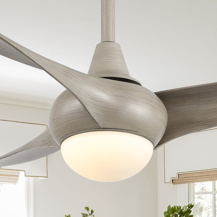 Coleigh 52'' Ceiling Fan with LED Lights