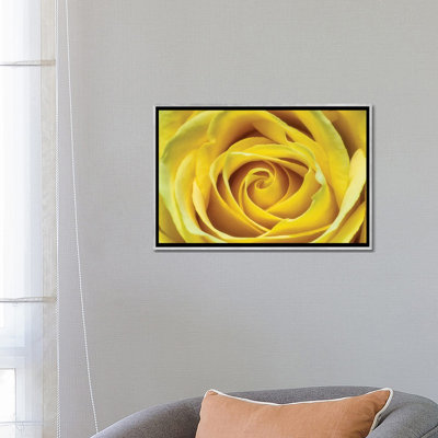 Jaune rose par Glauco Meneghelli-impression